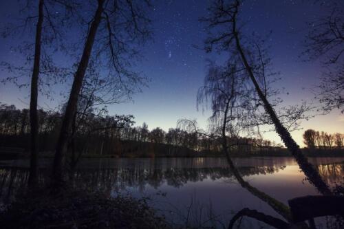 Orion region