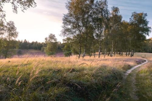 Landschaftsfotografie