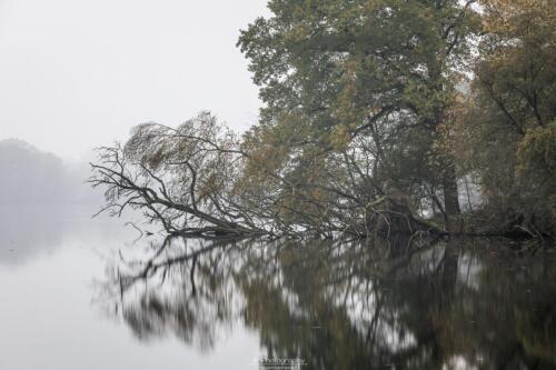 Landschaftsfotografie