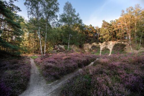 Landschaftsfotografie