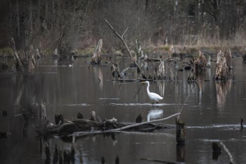 Naturfotografie