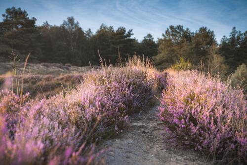 Naturfotografie