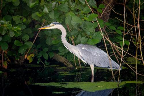 Naturfotografie