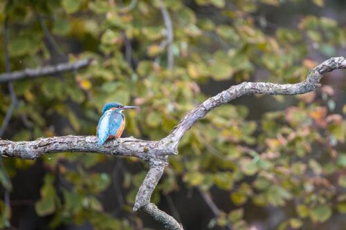 Naturfotografie